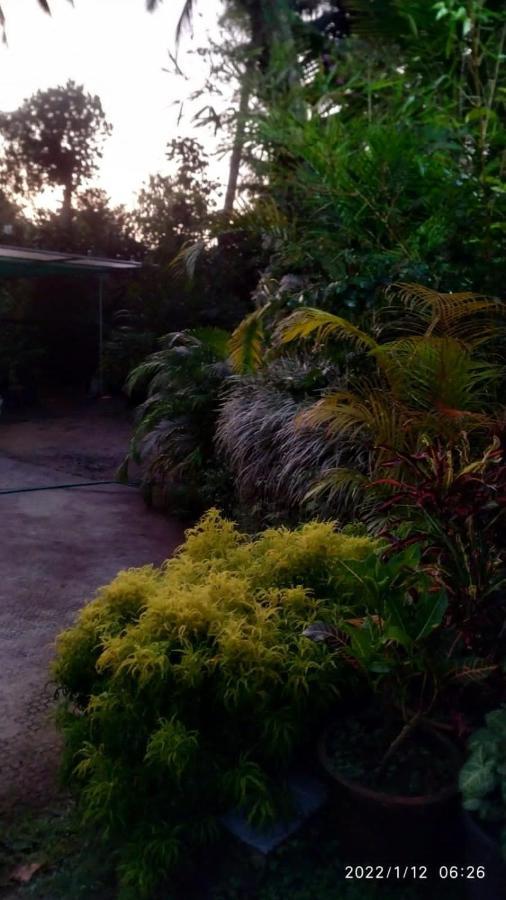 Fab Valley Homestay ムンナル エクステリア 写真