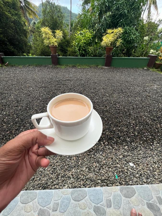 Fab Valley Homestay ムンナル エクステリア 写真