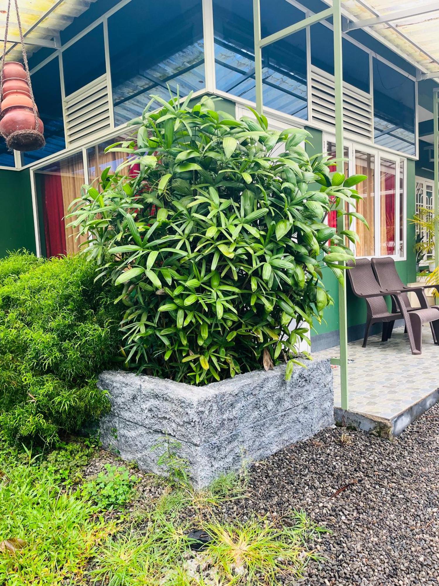 Fab Valley Homestay ムンナル エクステリア 写真